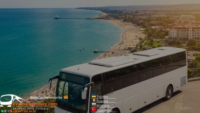 Квиток на автобус Кропивницький - Сонячний Берег