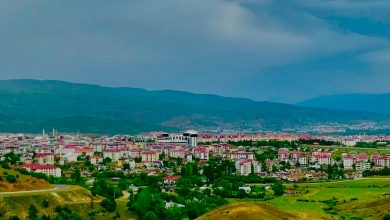 buy-bus-tickets-ukraine-bingol